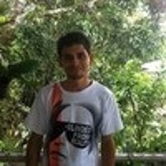 Luis Diego Torres Mora