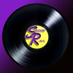 dj shocking raul