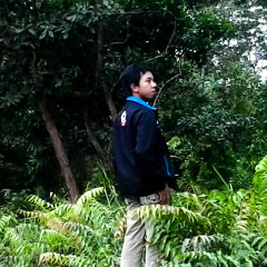 Nike Ardila & Deddy Dores