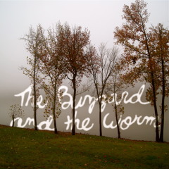 When (King Short Shirt cover)