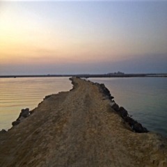 شعر