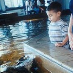 Passing off The Torch