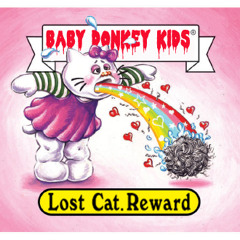 Lost Cat... Reward!