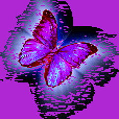 michealblairellsworth