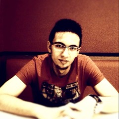 Mohammed Ezz Al-Hefny