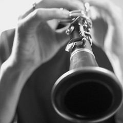 Peter Merckx- clarinet