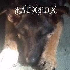 FauxFox