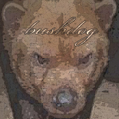 billybushdog