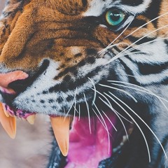 Christian Watanabe 1