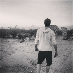 lemonis7