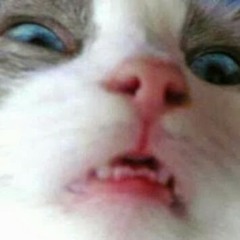 Daky