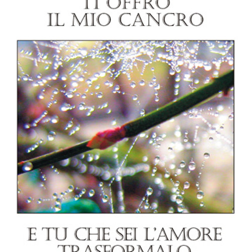 Signore-offro-mio-cancro’s avatar