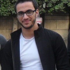 Hussein A. Elhusseiny