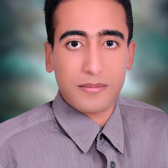 sayed-tantawy-1