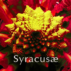 Syracus