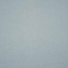 Dragonfly / Immortals