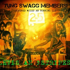 Y.S.M-Yung Swagg Members