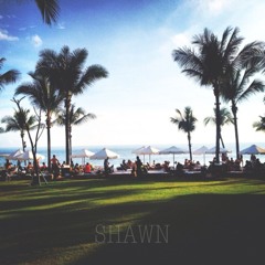 stellashawn