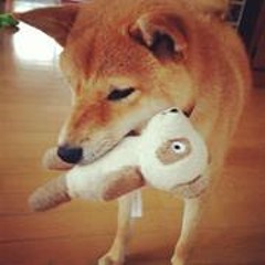 Norimasa Kudo