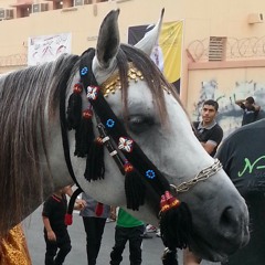 sayedanwar74