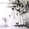SubHumanSpecies