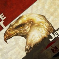 mohammed-darwish-2011