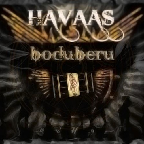 Havaas BoduBeru Group’s avatar
