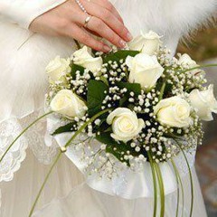 Basma Tareek