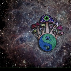 AcousticSerenade1201