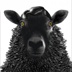 BlackSheepFamilyMinistry