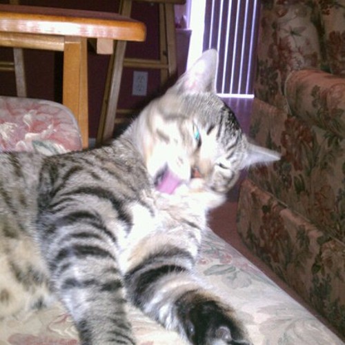 Far Cry 3 Gun Sync Extended