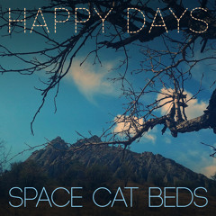 Space Cat Beds