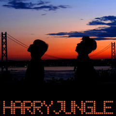 HarryJungle