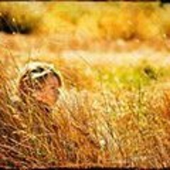 အစိမ်းရောင်စာစု - ငါး (Drive) [ Ah Seint Yaung Sar