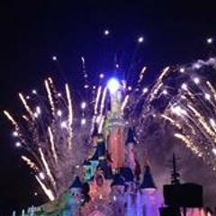 Yvette Willekes-Wild