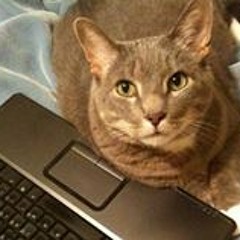 Carrie Moeller Montefiore