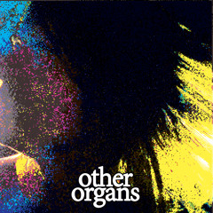 Other Organs