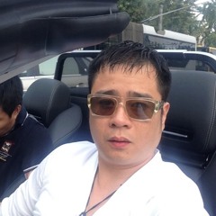 Viet anh Duong