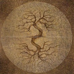 Galilecho