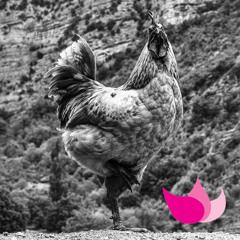 Wilner, Carter, Ughi & Toure 'Piece no.4'