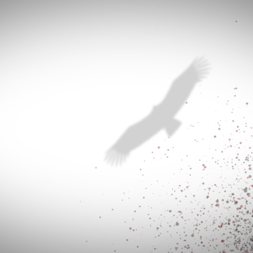 Stream Condor. music | Listen to songs, albums, playlists for free on ...