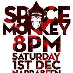 SpaceMoNkEy