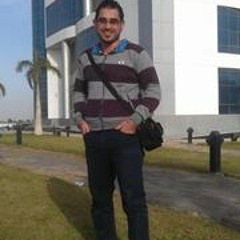 Mahmoud Yousef Ahmed