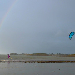 LE SQUAL