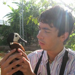 Daniel Felipe Rubiano