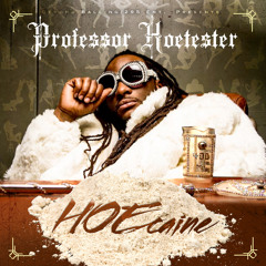 Professor Hoetester