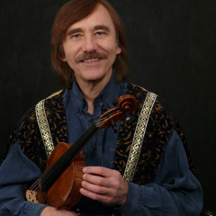 Violinmusiker