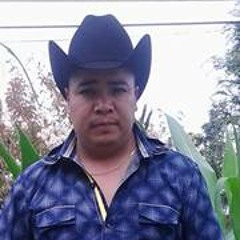 Sergio Martinez 161