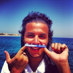 Hassan Adel Hassaneen