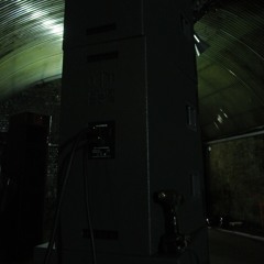 Mikey "FlipSide" Paws